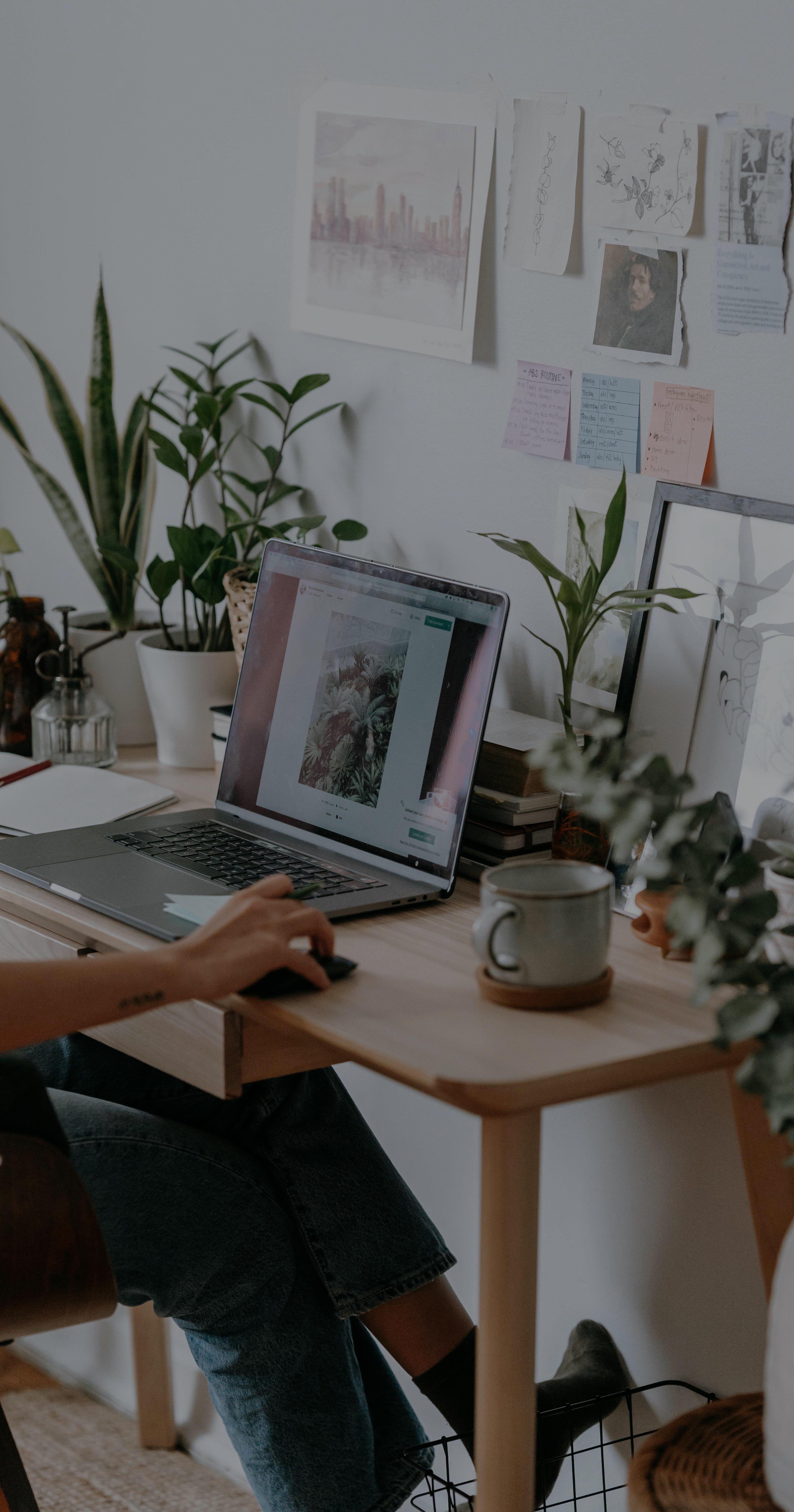 Creative workspace with laptop and plants
